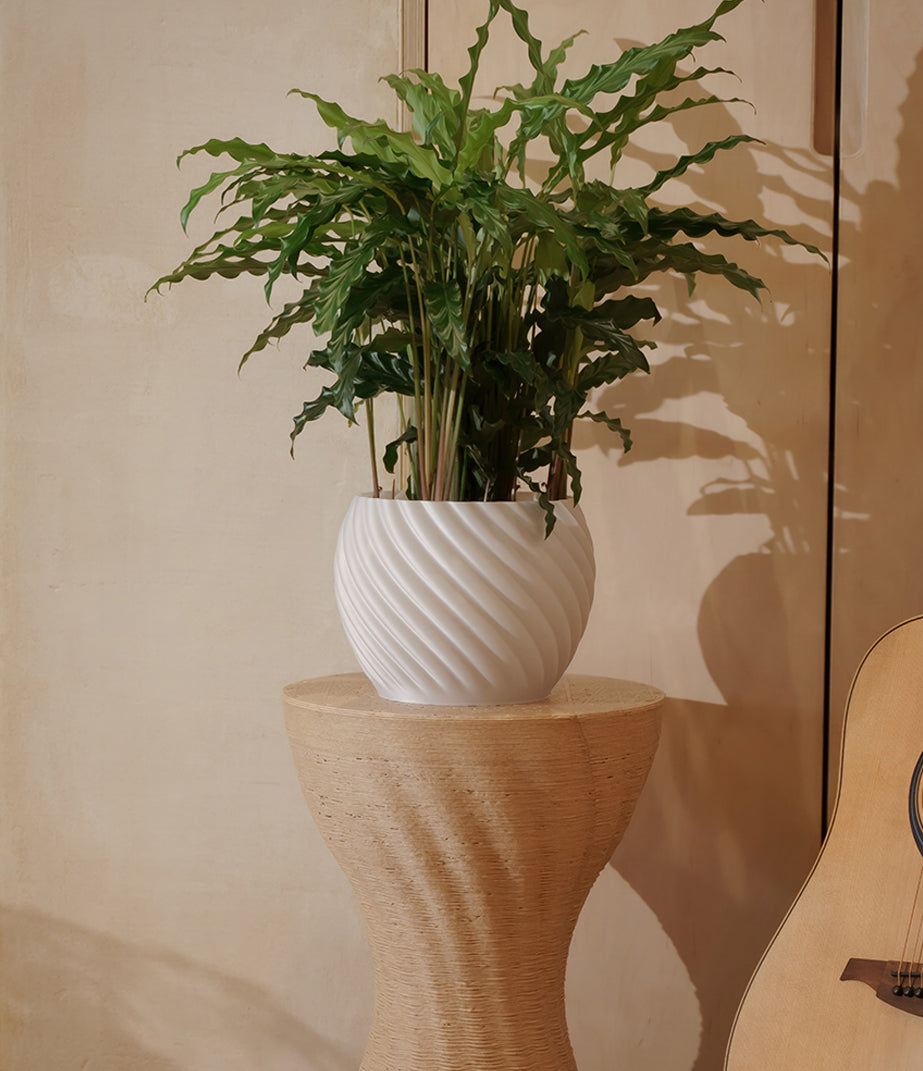 Side view of the pearl white Mandala planter by Fab.Pub