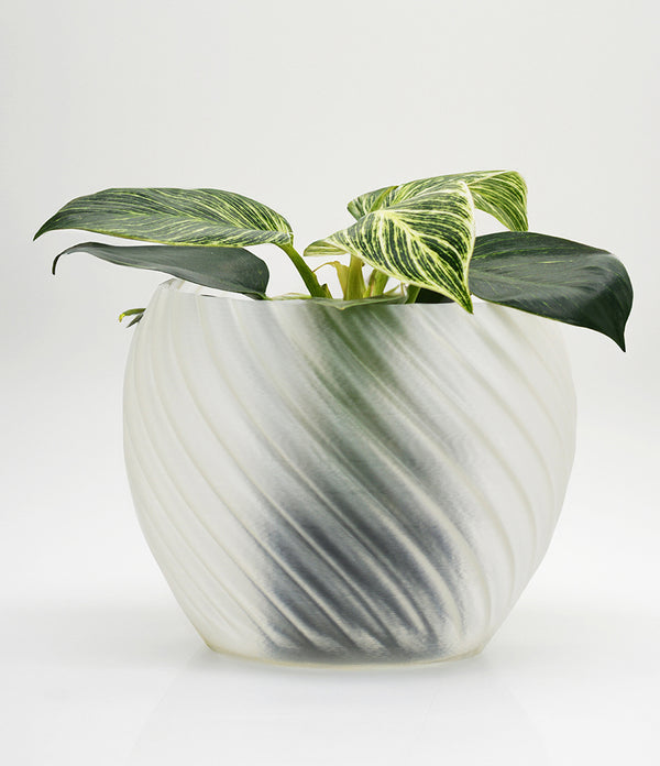 Mandala Planter Clear