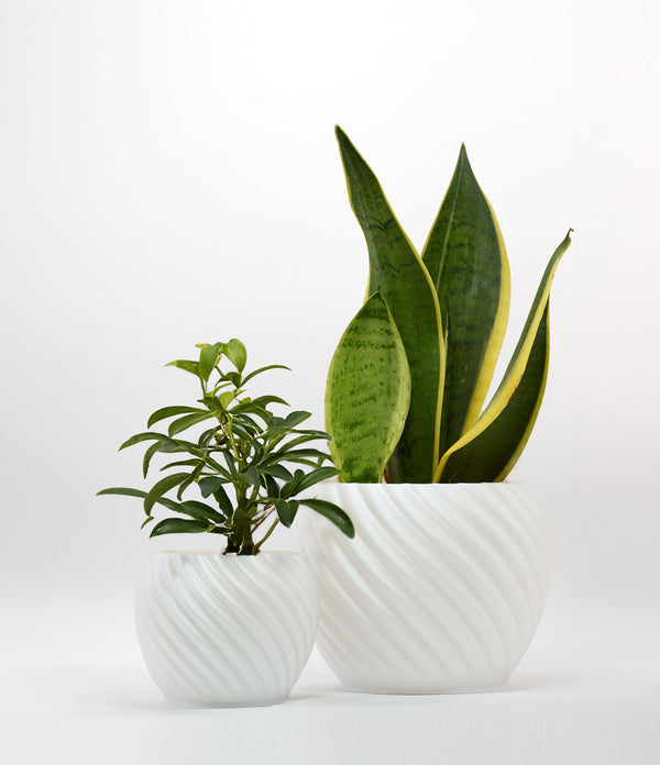 Mandala Planter White Pearl