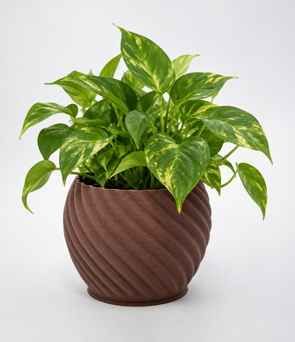 Mandala Brown Brick planter with digitally enhanced lush planting; plant not included.