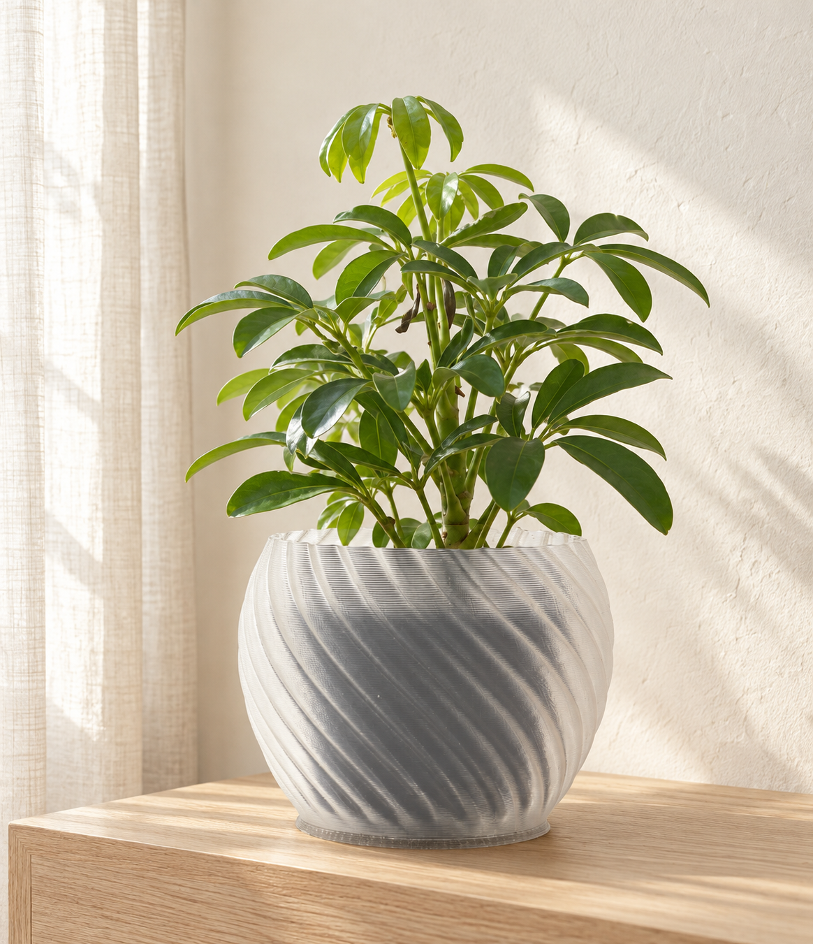 Styling visualisation of the Clear Mandala planter with fuller foliage on an oak console. Plant and accessories not included.