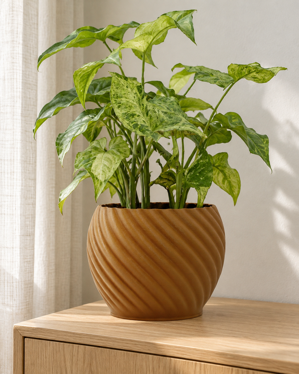 Styling visualisation based on the Mandala Brown Wood planter photograph, with fuller foliage on an oak sideboard. Plant and accessories not included.